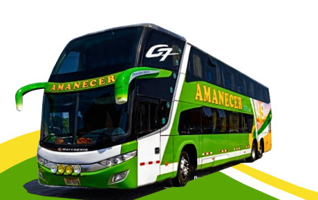 Servicio express
